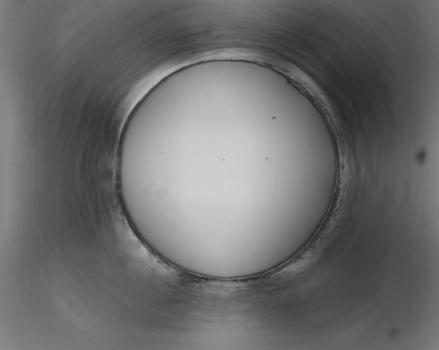 X0000116650860200912291615