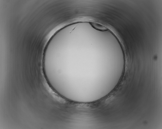 X0000116650861200912291615