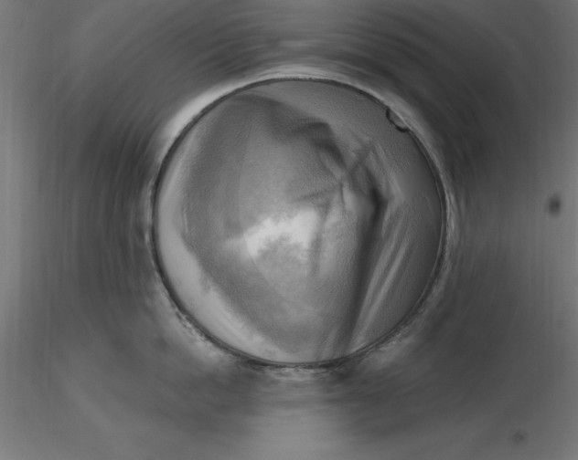 X0000116650862200912291615