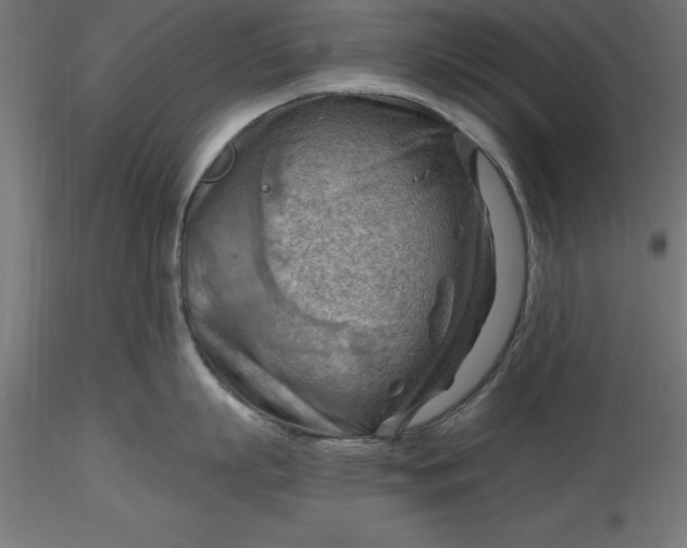 X0000116650863200912291615