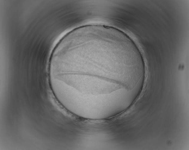 X0000116650864200912291615