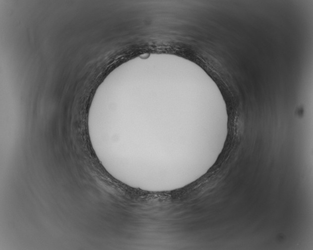 X0000116650865200912291614