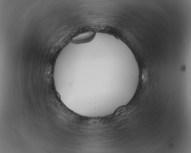 X0000116650867200912291614