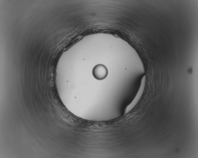 X0000116650868200912291614