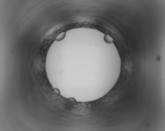 X0000116650869200912291614