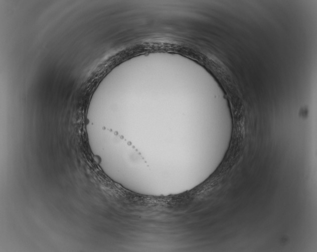 X0000116650870200912291614