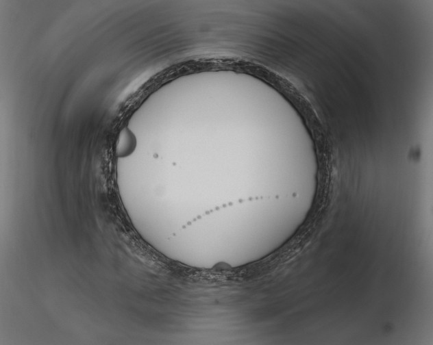 X0000116650871200912291614