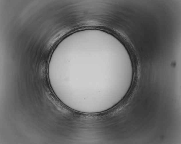 X0000116650873200912291614