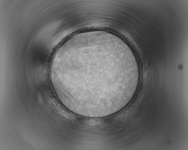 X0000116650874200912291614