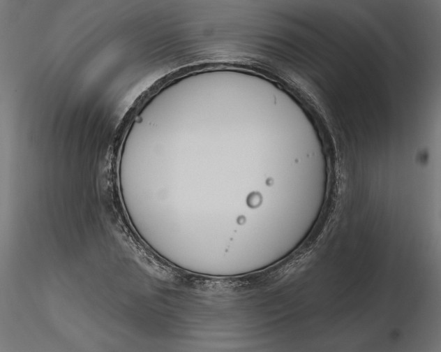 X0000116650875200912291614