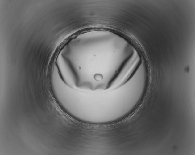 X0000116650876200912291614