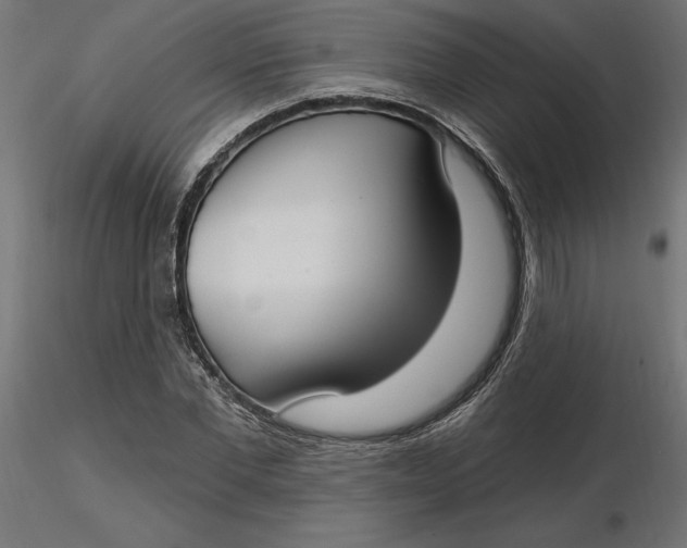 X0000116650877200912291614