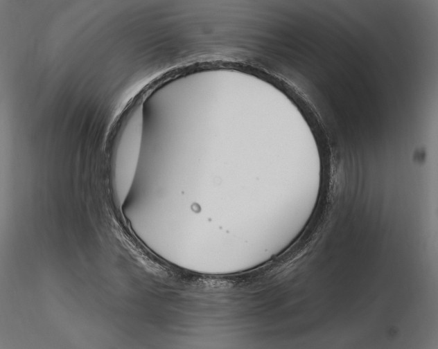 X0000116650878200912291614