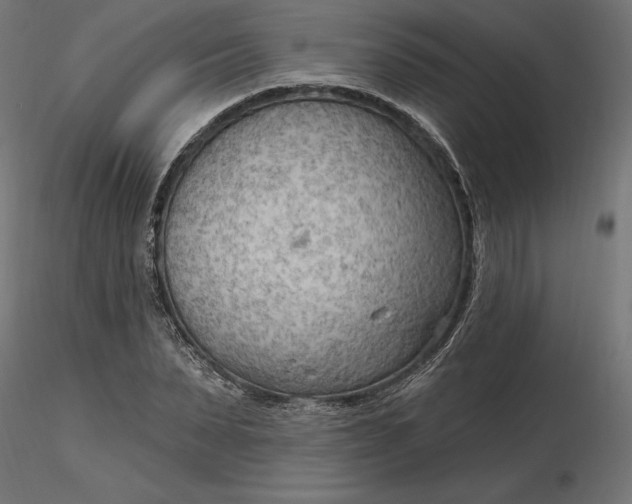 X0000116650879200912291614