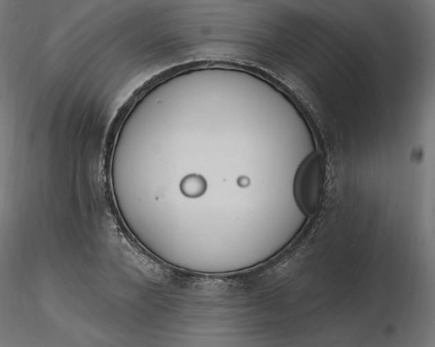 X0000116650880200912291614