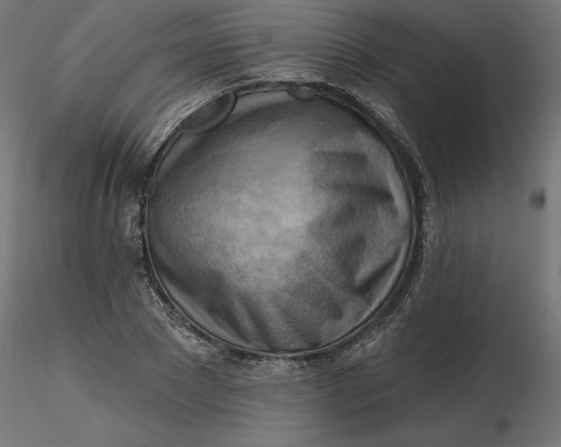 X0000116650881200912291614