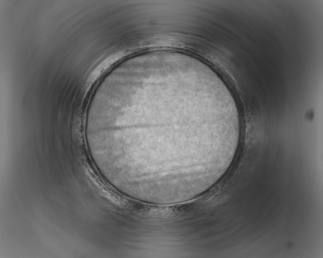 X0000116650882200912291614