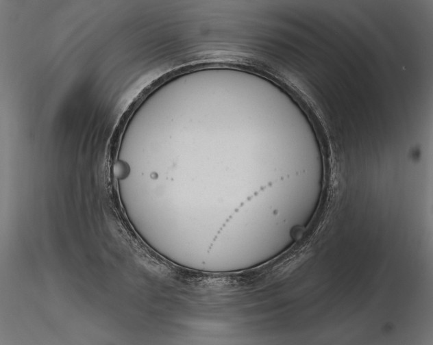 X0000116650883200912291614