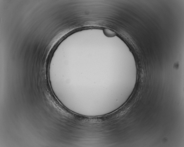 X0000116650884200912291614