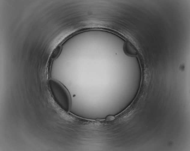 X0000116650885200912291614