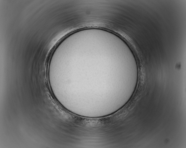 X0000116650886200912291614