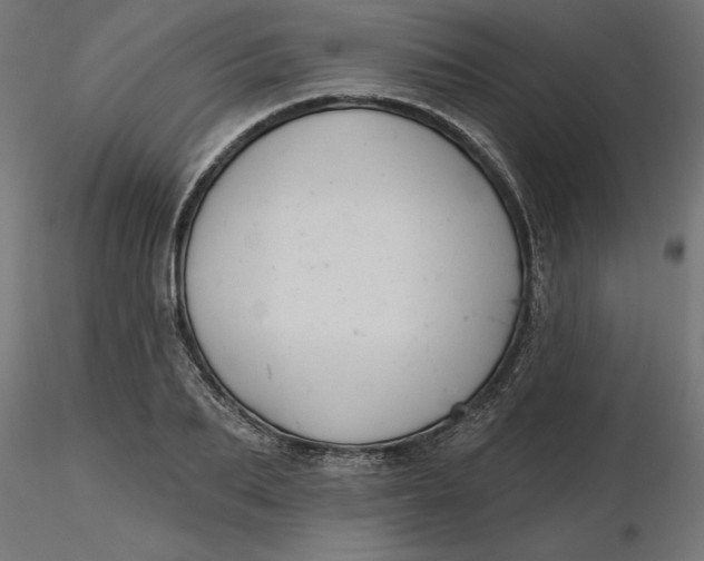 X0000116650887200912291614