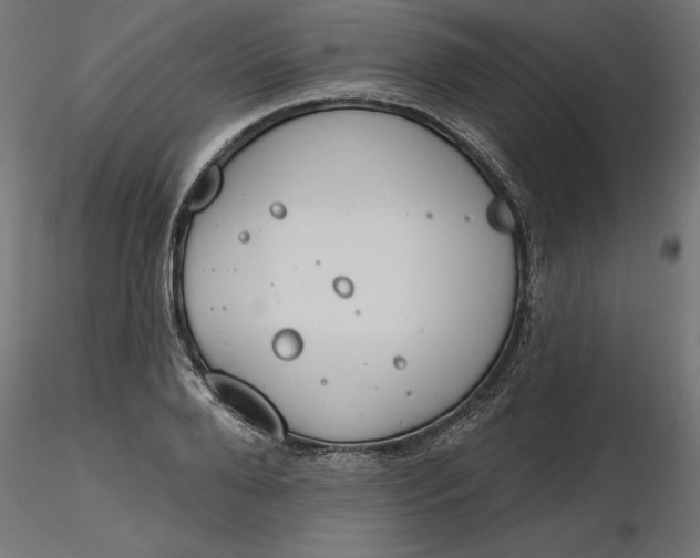 X0000116650888200912291614