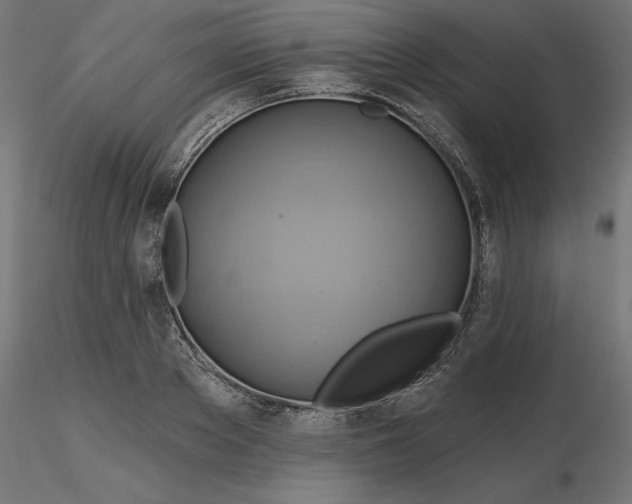 X0000116650889200912291614