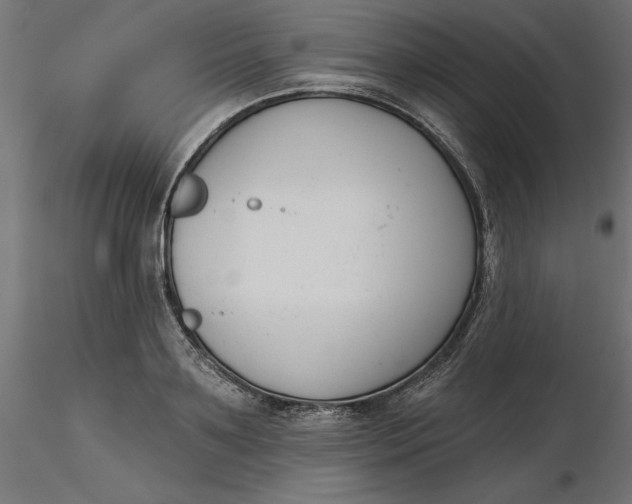 X0000116650891200912291614