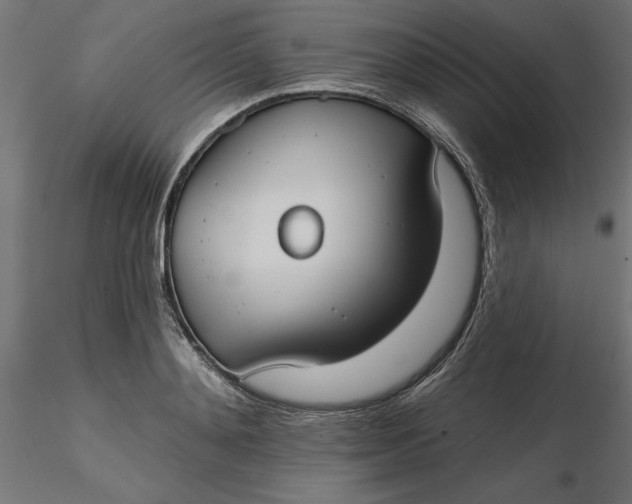 X0000116650892200912291614