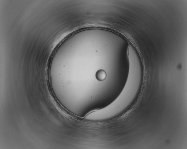 X0000116650893200912291614