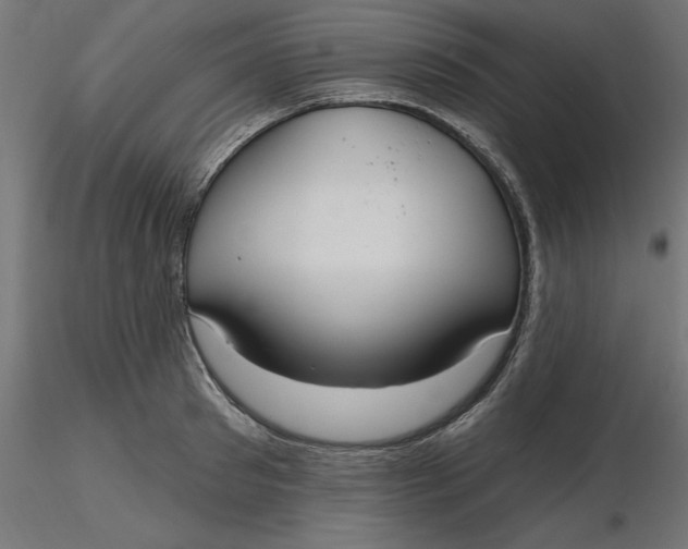 X0000116650897200912291614