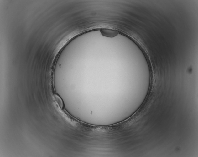 X0000116650898200912291614