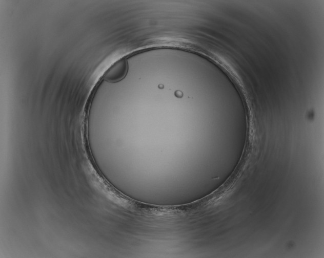 X0000116650899200912291614