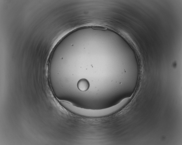 X0000116650900200912291614