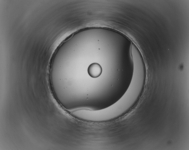 X0000116650901200912291614