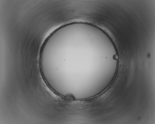 X0000116650902200912291613