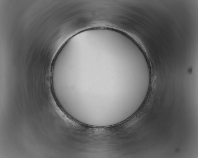 X0000116650903200912291613