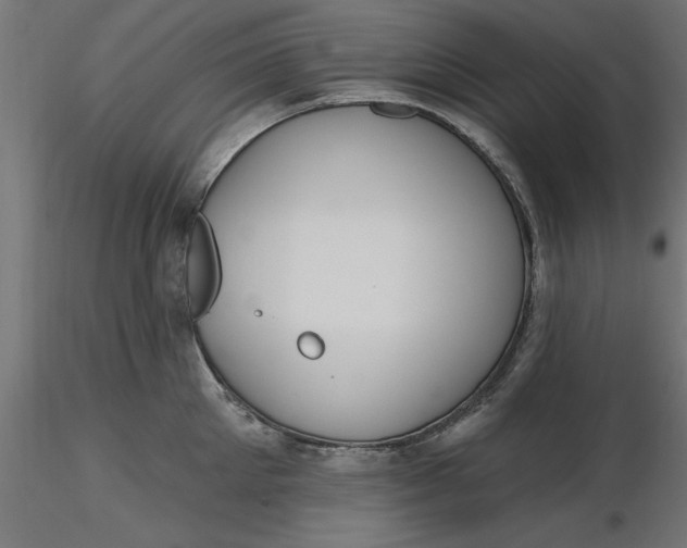 X0000116650905200912291613