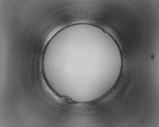 X0000116650906200912291613