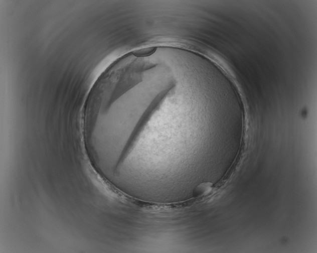 X0000116650907200912291613