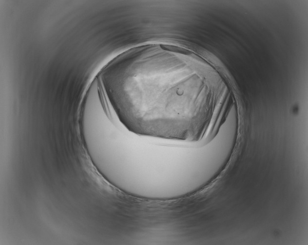 X0000116650908200912291613