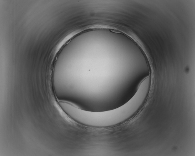 X0000116650909200912291613