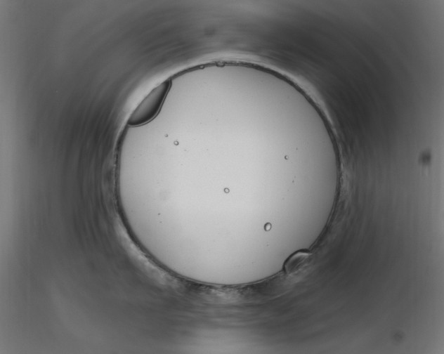 X0000116650911200912291613