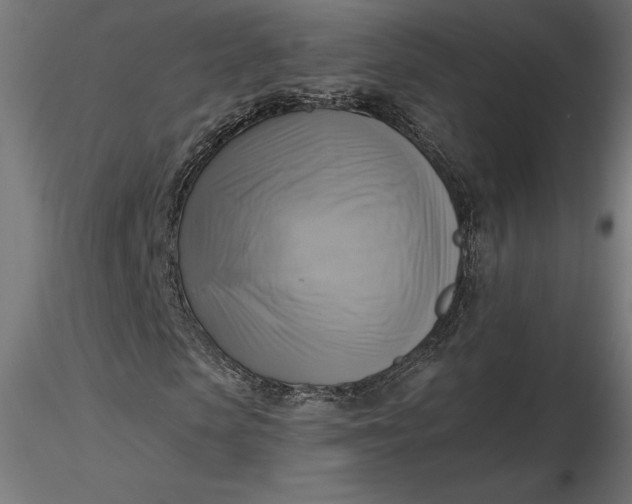 X0000116650913200912291613