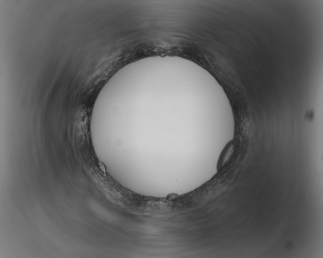 X0000116650914200912291613