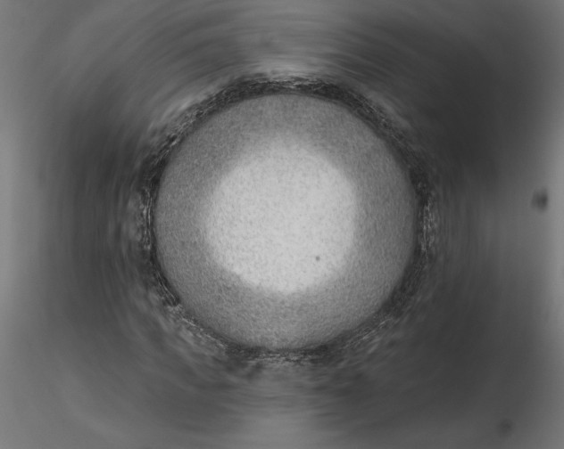 X0000116650917200912291613