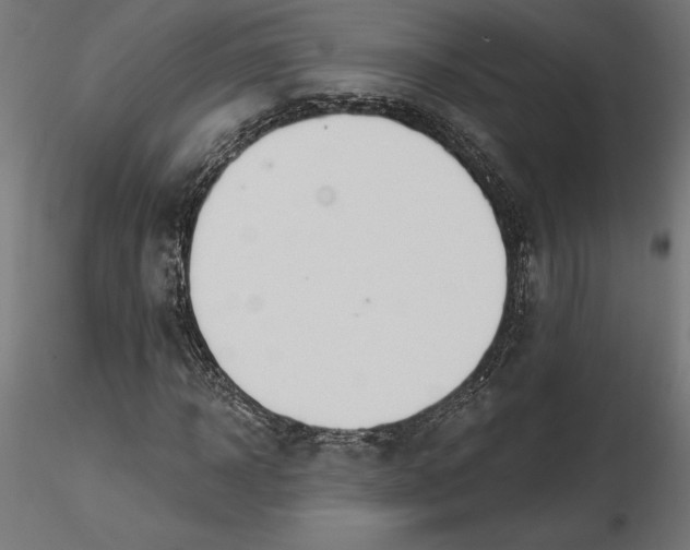 X0000116650918200912291613