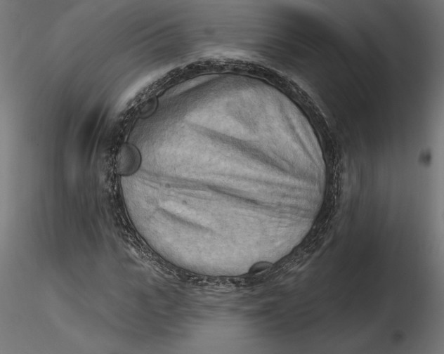 X0000116650919200912291613