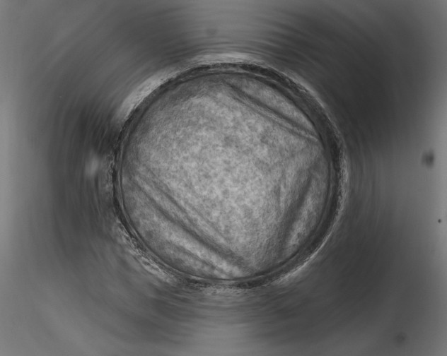 X0000116650921200912291613